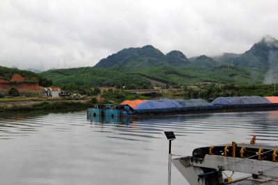Lịch tầu ra vào cảng Làng Khánh: